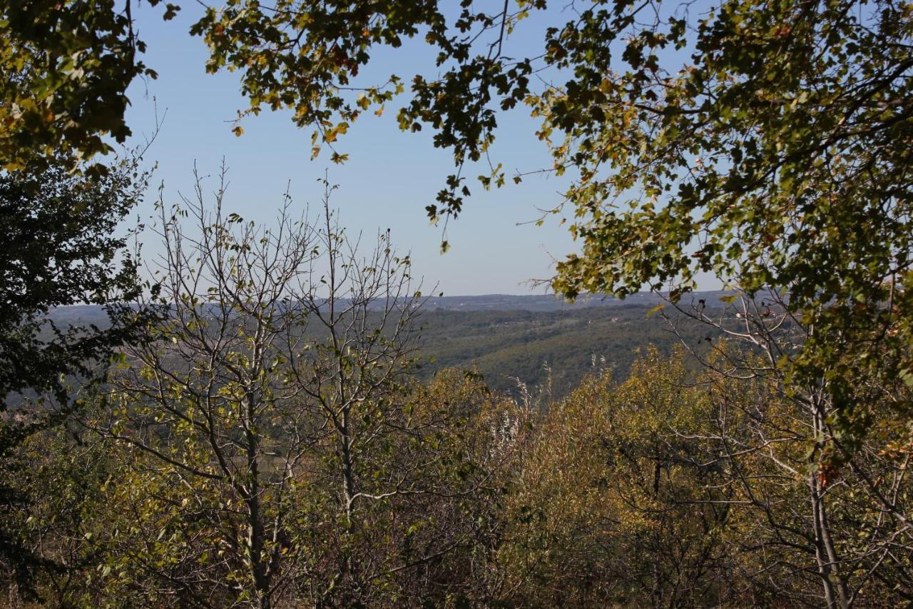 Apartments With A Parking Space Presika, Labin - 7390 Εξωτερικό φωτογραφία